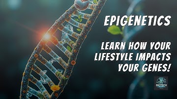 How Your Environment Changes Your DNA