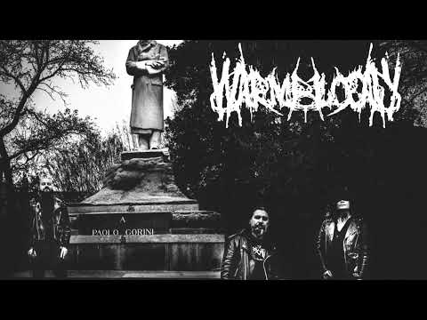 WARMBLOOD (Intervista tratta