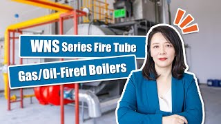 ZOZEN WNS series gas/oil-fired fire tube boilers| Fire Tube Gas/Oil-Fired Boilers' Details