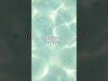 rüfüs du sol - lately (lyrics)