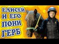 Елисей и его пони «Герб»