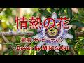 ミキ＆アキ 東あき 아즈마 아키 蔵出し１３歳？現在１８歳「情熱の花」ザ・ピーナッツ Cover