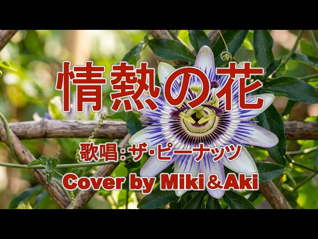 YouTube Music