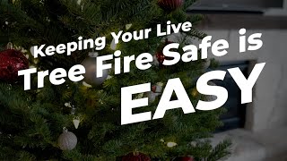 How Do You Keep Your Christmas Tree Safe from Fire Risks?