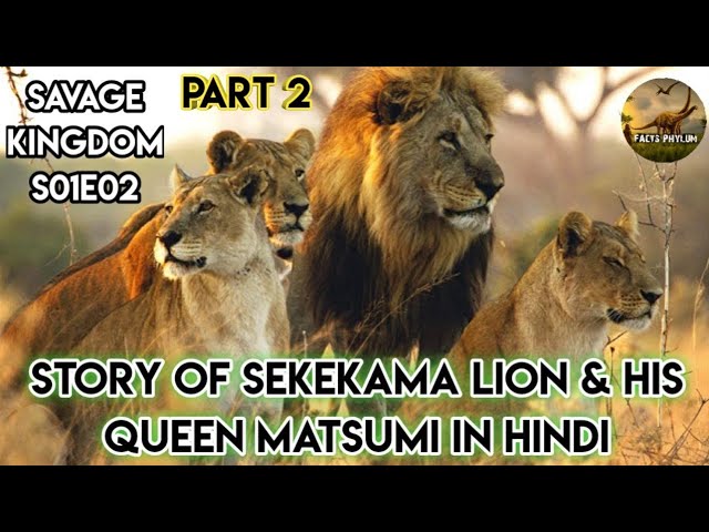 Story of Lion Sekekama And His Queen Matsumi। Savage Kingdom S01 Episode 02 Explained in Hindi class=