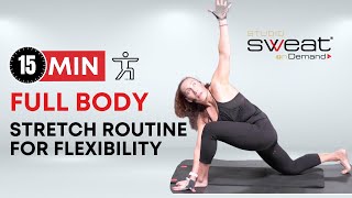 15-Minute Full Body Stretch | Daily Stretching Routine for Flexibility & Mobility