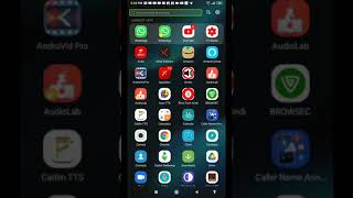 how to use dual apps for blind user use two applications in one phone for blind unique feature screenshot 4