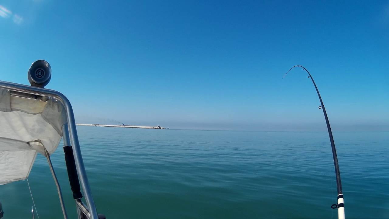 Pesca alle Orate dalla barca a Livorno (video 1) - YouTube