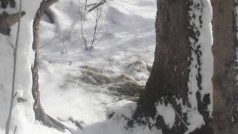 pivot videos 2 (old) DONT LOOK AT THIS