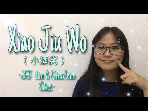 小酒窩 (Small Dimples) - JJ Lin & Charlene Choi (COVER)