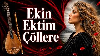 Ekin Ektim Çöllere Türküler Dertli Türküler Akustik Türküler Duygusal Türküler