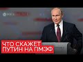 «Не допустить наступления будущего»: Станислав Белковский о том, что Путин скажет на ПМЭФ