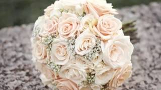 Beautiful And Lovely Flower Picture Selection | Carnation And Baby Breath Bouquet Beautiful And Lovely Flower Picture Selection | Carnation And Baby Breath Bouquet