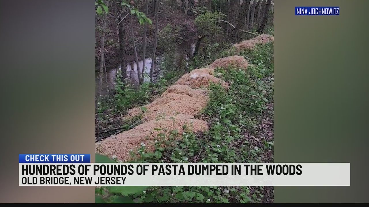 Check This Out Pasta dumped in woods YouTube