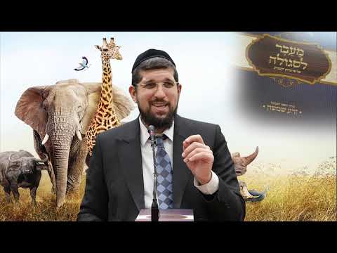 סגולת הזרע שמשון - פרשת בא תש"פ - הרב אליהו עמר HD