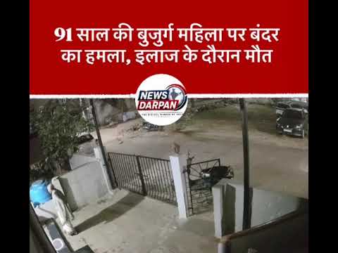 91 साल की बुजुर्ग महिला पर बंदर का हमला, इलाज के दौरान मौत