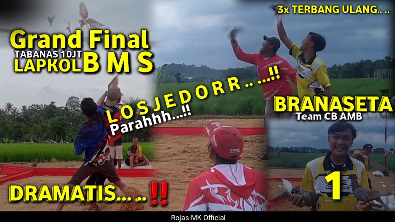 🔴 SERU...!! MAKIN SORE MAKIN DOR JEDOR ‼️ LOMBA MERPATI KOLONG TERBARU 2025..RUGI KALO GAK NONTON ⁉️