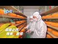 【起司新口味?!  &quot;蛤蜊&quot;口味搶鮮嚐 】│2021.03.14│苗栗 搶先看 《台灣第一等》