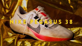 Nike Pegasus 38 | First Impression