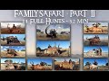 12 Full Hunts - Family Safari - Part 2