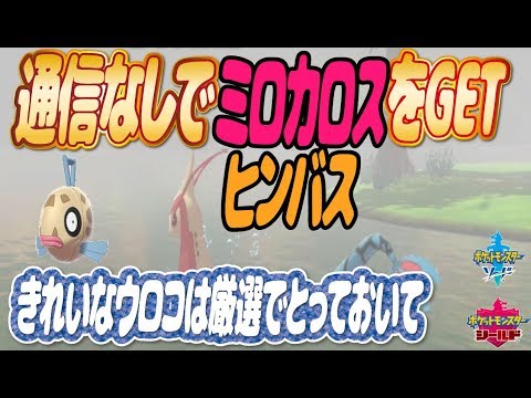 ソードシールド きれいなハネの入手方法と効果まとめ ポケモン剣盾 攻略大百科