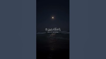 قرآن بصوت الشيخ ياسر الدوسري🤍🤍 #تلاوة_خاشعة #قرآن #ياسر_الدوسري #سةرة_طه#