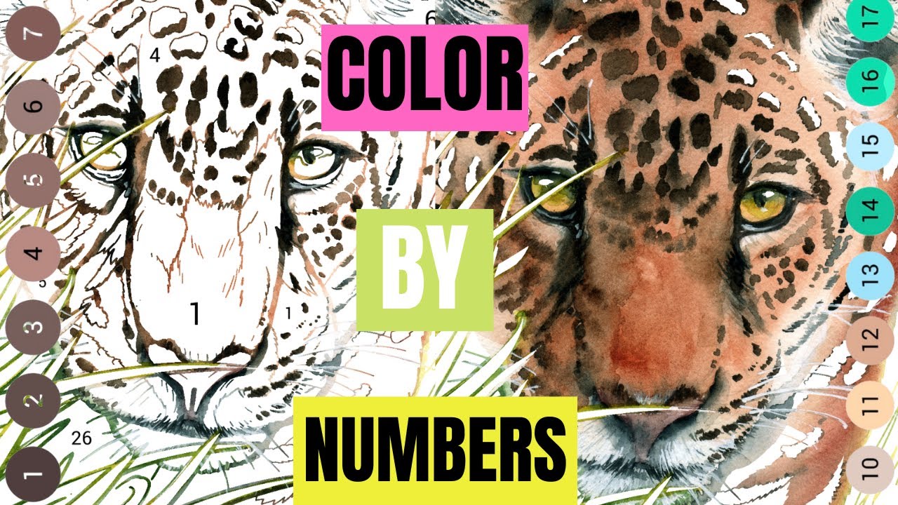 Colouring a tiger | Color By Numbers😍 | Happy Color💕| Fun 🌈 - YouTube