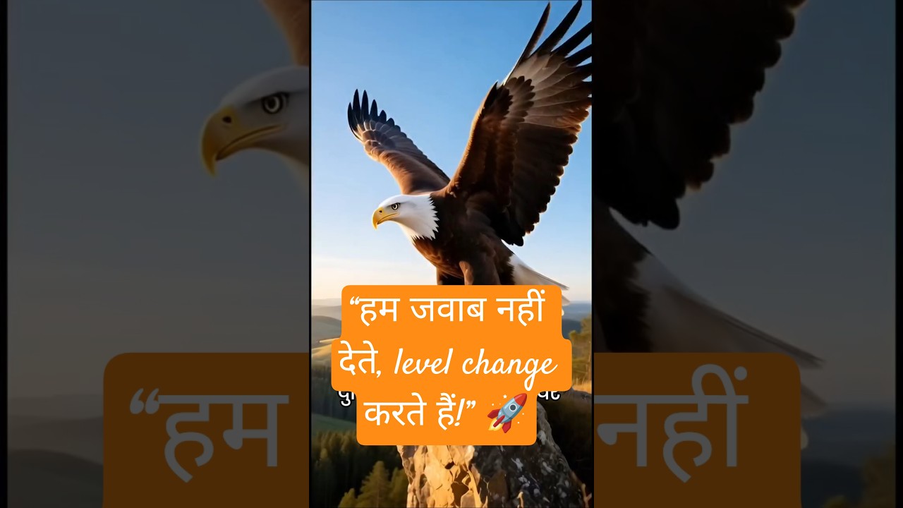 “हम जवाब नहीं देते, level change करते हैं!” 