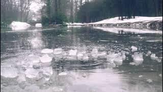 Dion Cooper - Cold (Out April 9th)