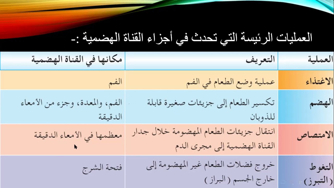 الجهاز الهضمي  الثامن
