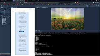 Image Filter Project APCSP