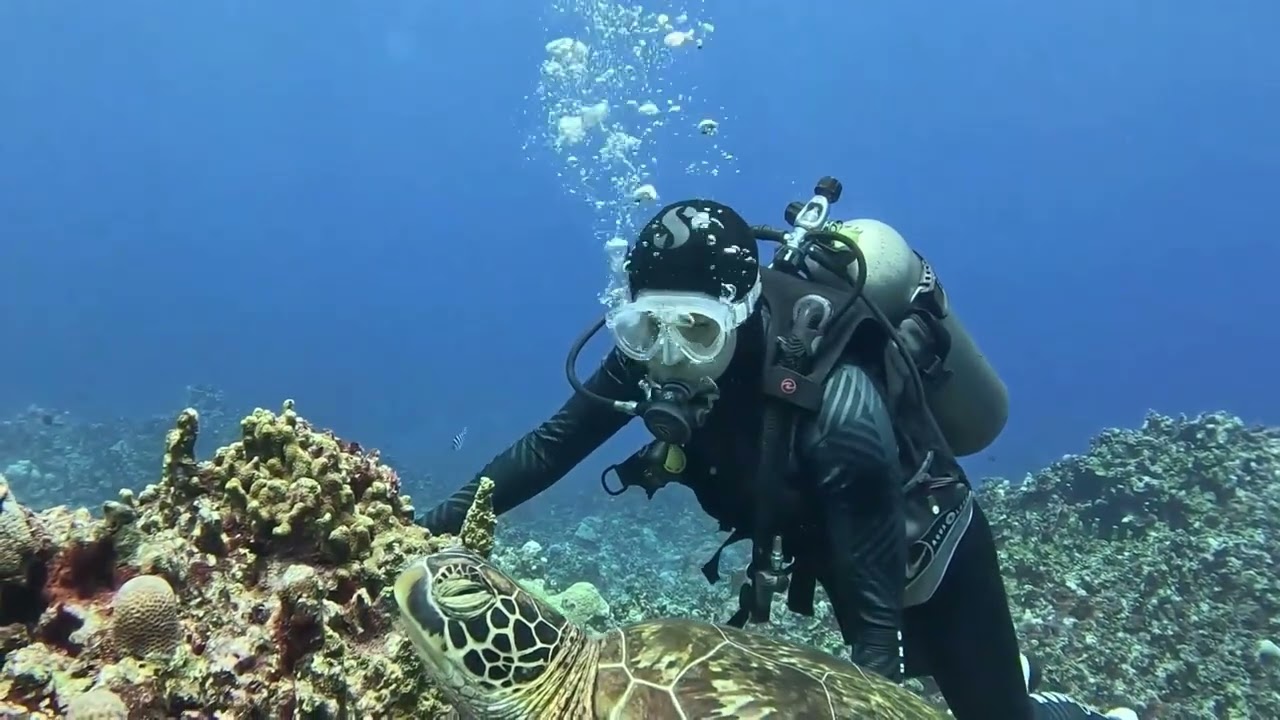 Marine Life That’ll Leave You Speechless!