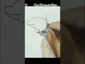 Easy Drawing for Beginners