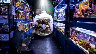 Incredible fish store tour - Preuss Pets