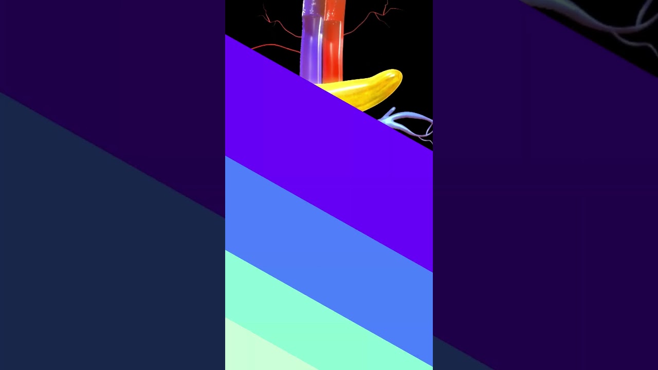 FAST LEAN PRO  WEIGHT LOSS SUPPLEMENT…….