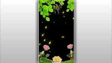 avee player template.tree leaf black screen background.template background video.kinemaster backgrun