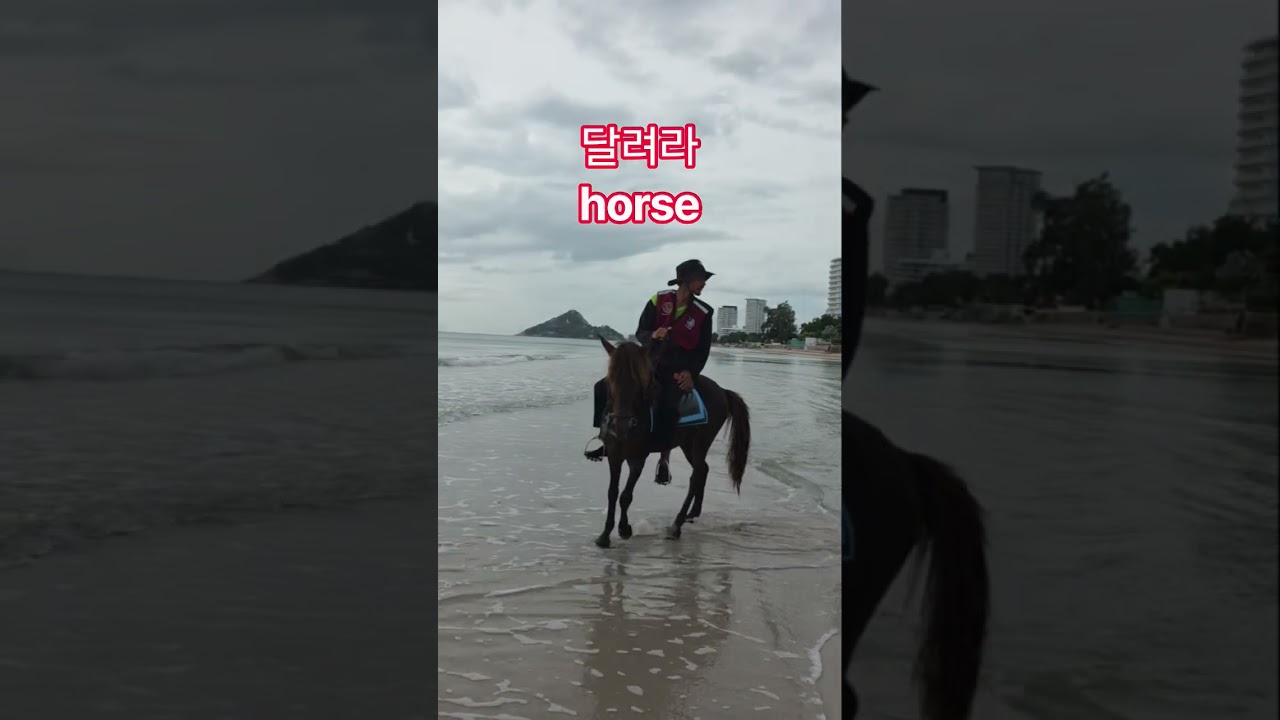 해안가 말탄 여인 달려라