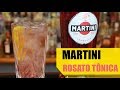 Receita de Drink Martini Rosato Tônica - Bartender Store