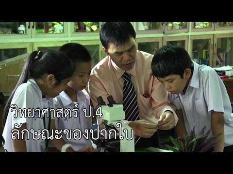 วิทยาศาสตร์ ป.4 ลักษณะของปากใบ ครูเฉลิมชัย วัดเข้าหลาม