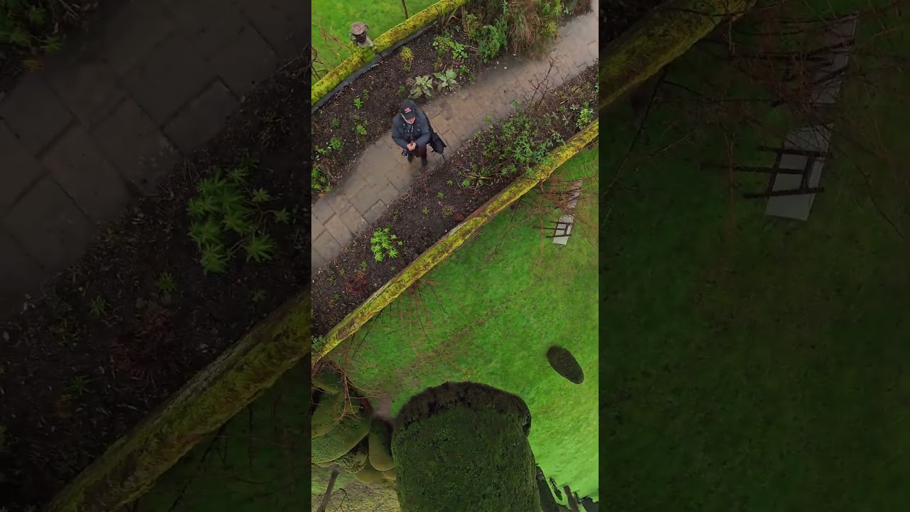 Insta 360 x5 в Паквуд-Хаусе 