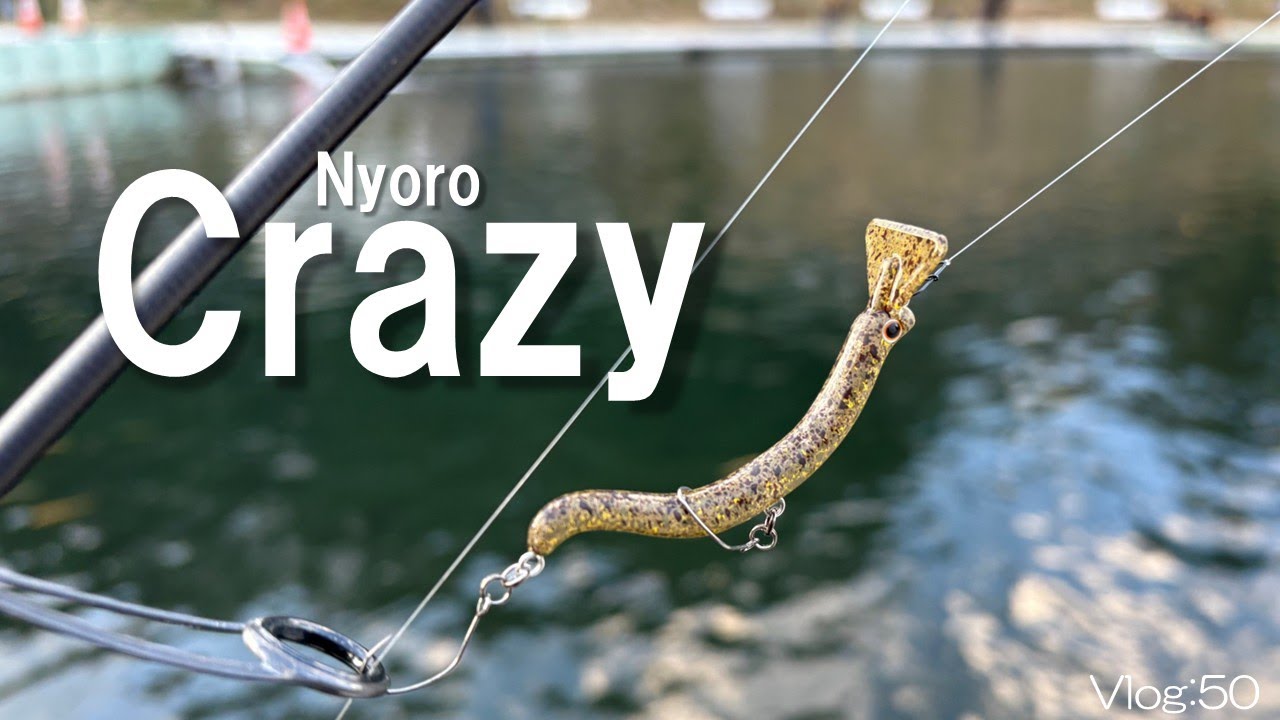 【エリアトラウト】ニョロクレイジーがすごかった…！【足柄キャスティングエリア】