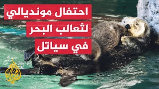 أعضاء فريق الطيور والثدييات في حوض أسماك سياتل بواشنطن يحتفون بثعالب البحر في مبادرة للتوعية البيئية