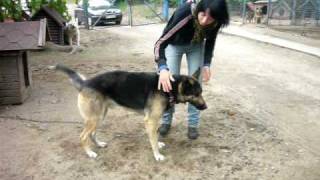 Obraz 083