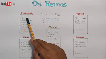 Quais os principais grupos de organismos viventes?