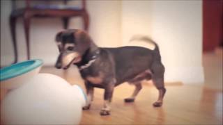 Ifetch too