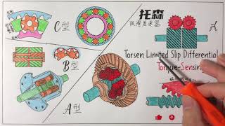 托森限滑差速器工作原理 / Torsen LSD最全讲解 How does Torsen differential work?