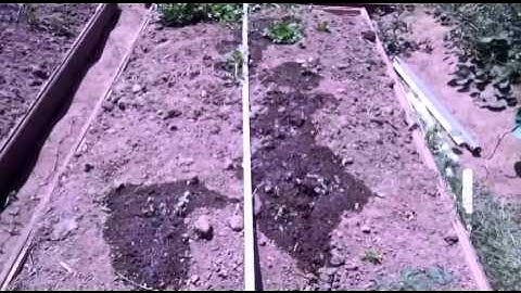 Raspberry Pi Solar Powered Automatic Garden