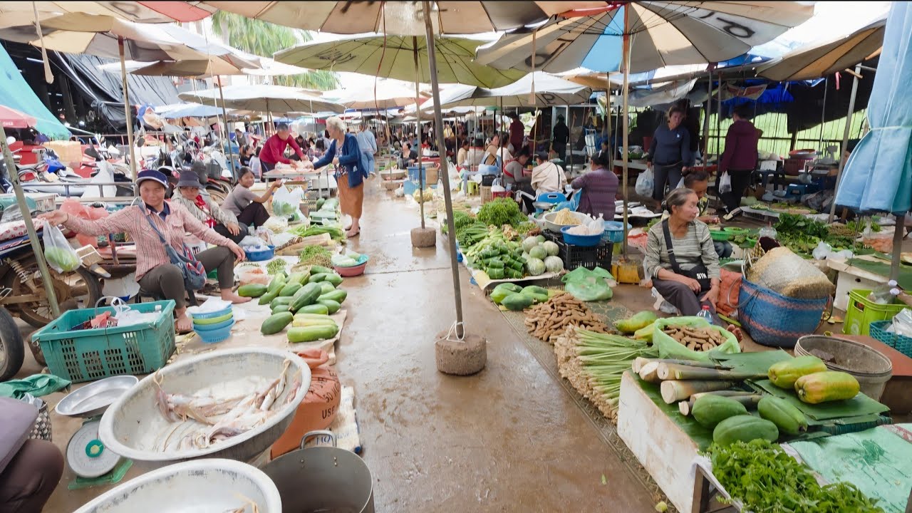 #เที่ยวลาว ก่อนเข้าไทยแวะตลาดเช้าสะหวันไช #แขวงสะหวันนะเขต #บรรยากาศ #อาหารตามฤดูกาล เยอะมาก#สาวลาว 