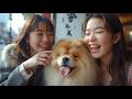 ちゃうちゃうちゃう(Chau-Chau-Chau / Kansai dialect)