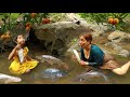 Catch and cook fish of survival food mother cooking fish soup recipe  grilled fish for baby dog